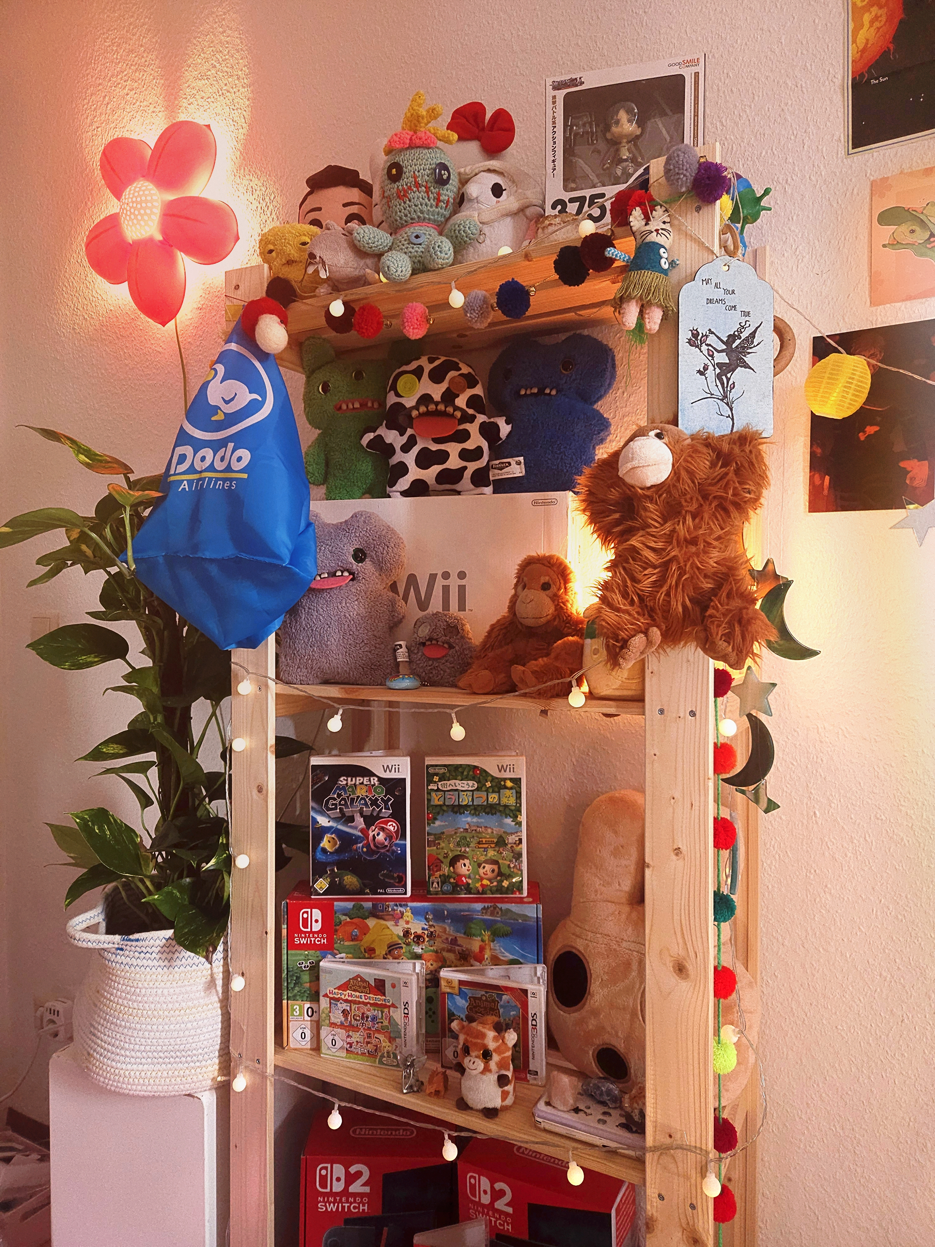 my shelves